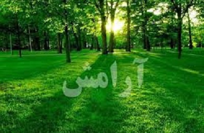راه‌هاى كسب آرامش از ديدگاه قرآن