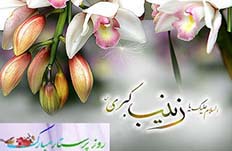 چرا روز ميلاد حضرت زينب (س) را روز «پرستار» ناميده اند