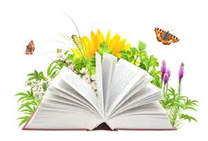 در ايام فاطميه چه كتابي بخوانيم