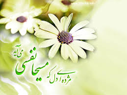 در منابع روايي شيعه درباره تولد امام زمان (عج) چه مطالبي آمده است؟