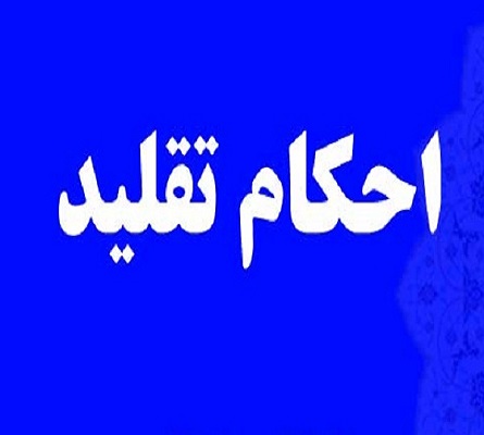 انتخاب مرجع تقليد پيش از سن بلوغ